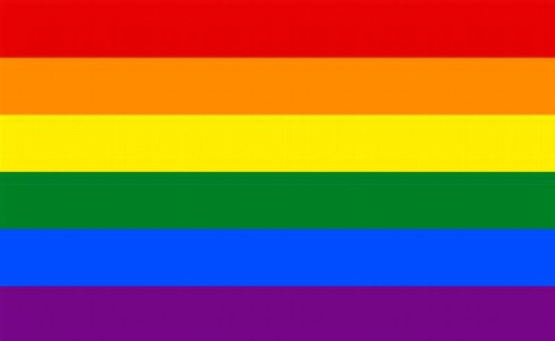 Image for small rainbow flag