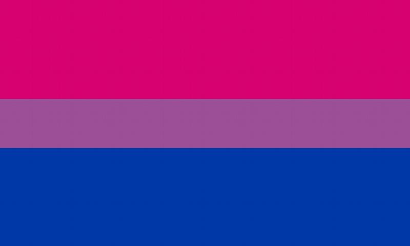 Image for Small Bisexual Flag