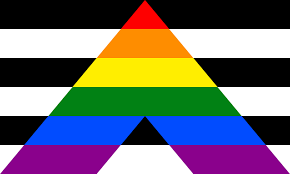 LGBTQ Ally Flag