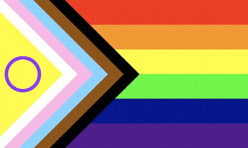Image for Intersex Inclusive Pride flag