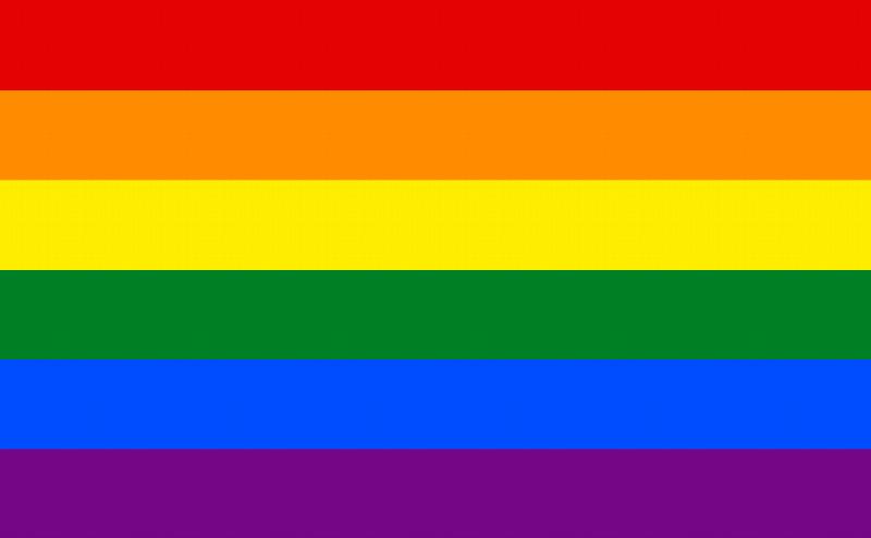 Image for Large Rainbow Pride Flag
