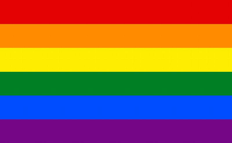 Image for Large Rainbow Pride Flag