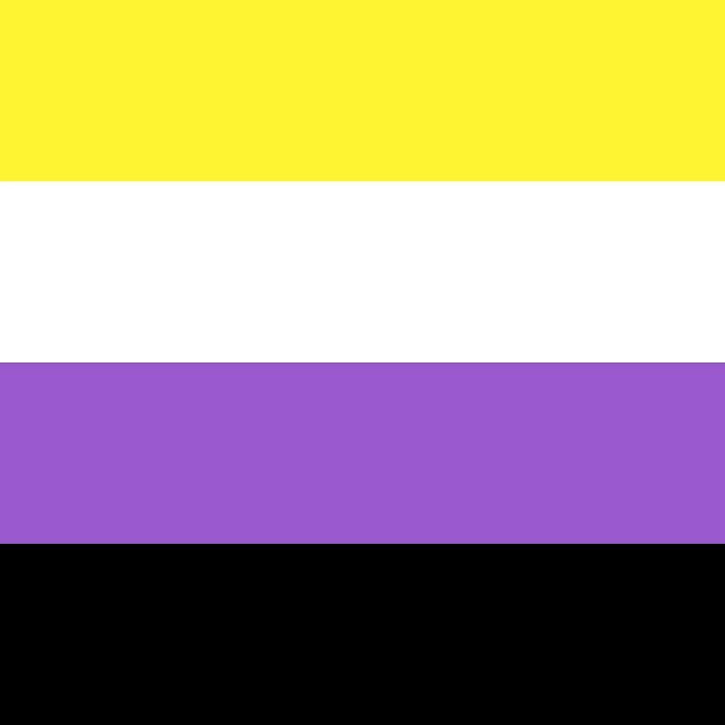 Image for Small Nonbinary Flag
