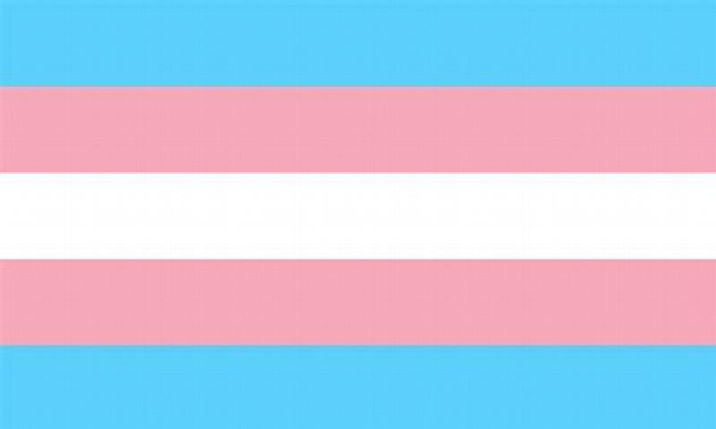 Image for Trans flag